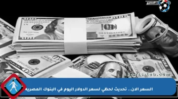 السعر الآن.. تحديث لحظي لسعر الدولار اليوم في البنوك المصرية